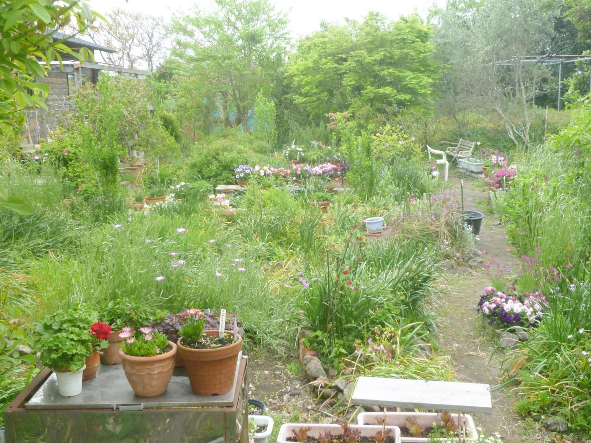 Pension Flora Tateyama  Bagian luar foto